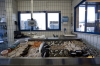 La nuova pescheria a Cesenatico